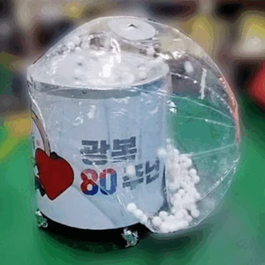 [주준제작] 광복80주년 기년행사 - 에어볼